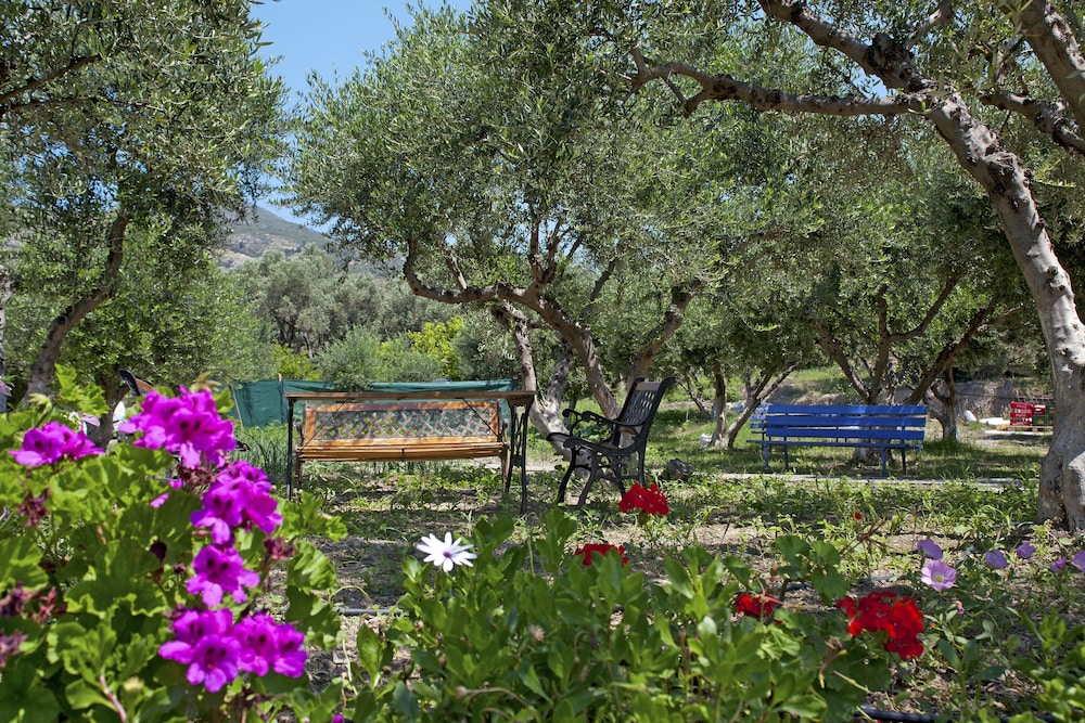 Aphrodite Samos Superior Studios & Apartments 28/39