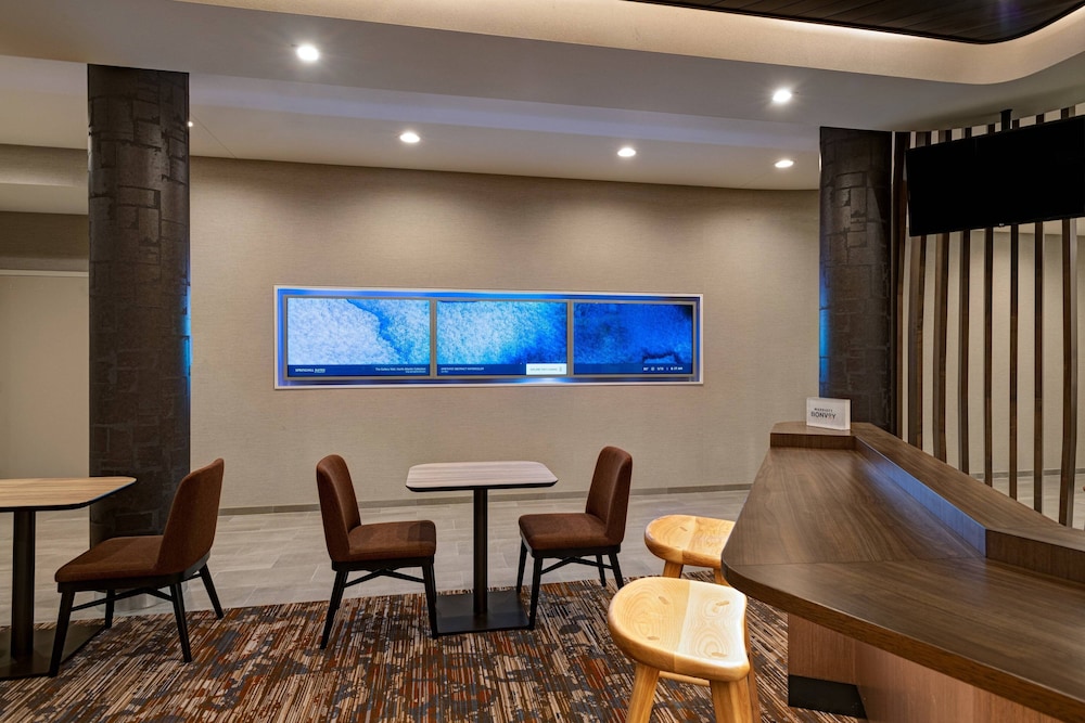 SpringHill Suites by Marriott Dallas Richardson/University Area 31/51