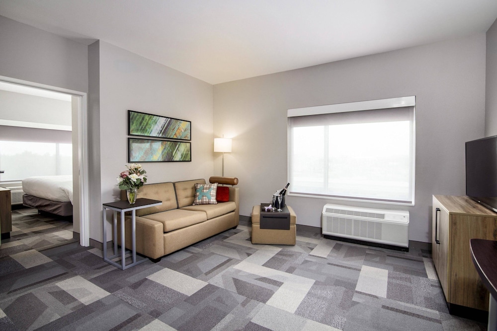 TownePlace Suites by Marriott Houston Hobby Airport 32/42