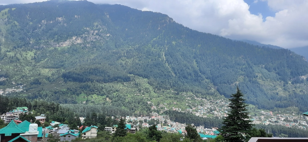 Mastiff Xanadu Manali 22/26