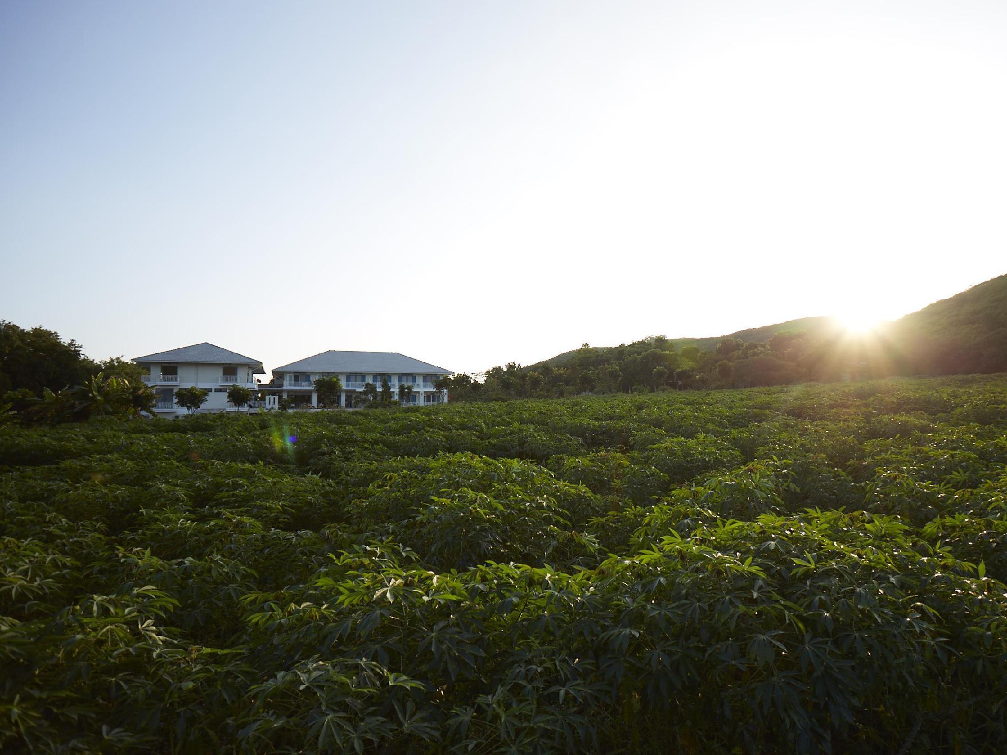 Santosha Health & Lifestyle Resort 55/58