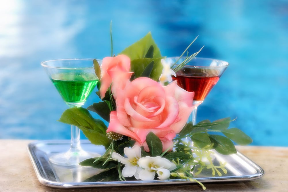 索伦托俱乐部酒店(Hotel Club Sorrento) 图片2