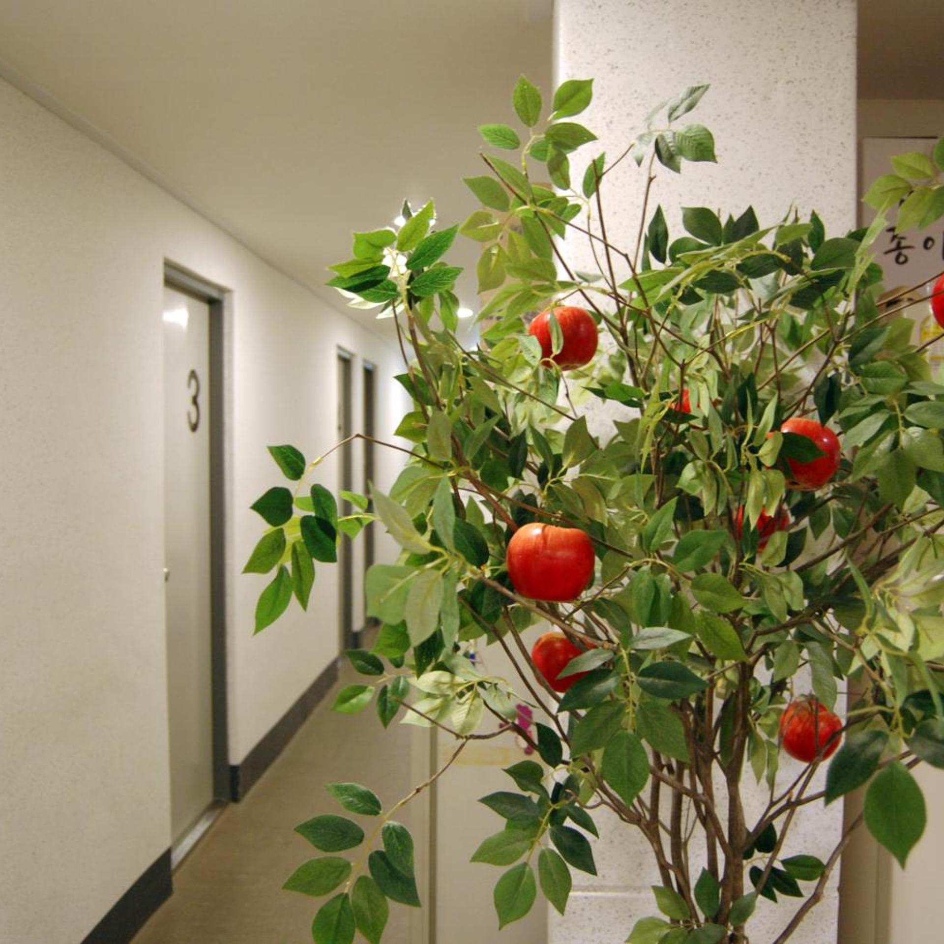 Empathy Dongseongro Guesthouse - Hostel 12/79