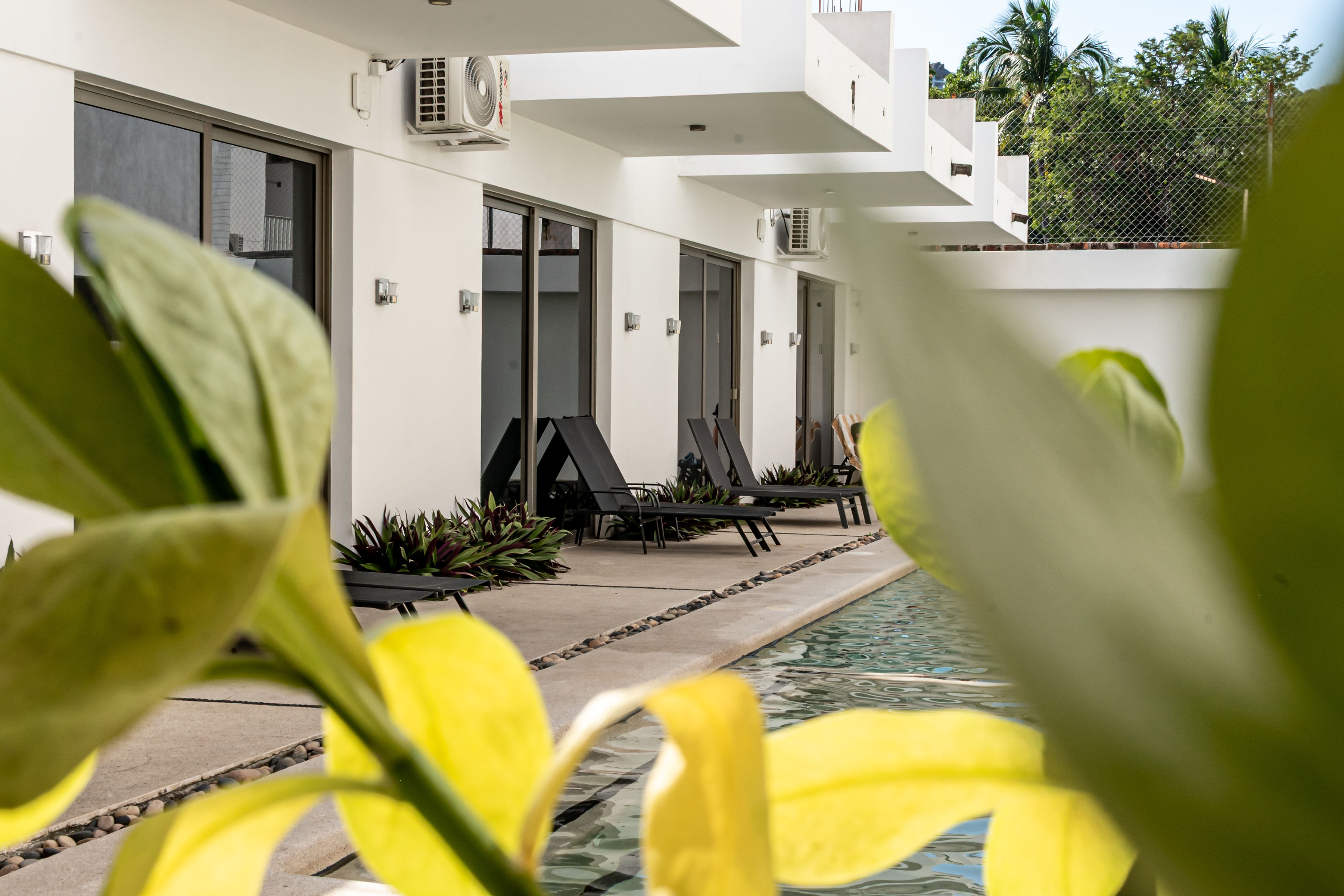 Safiro Suites Guayabitos 40/50