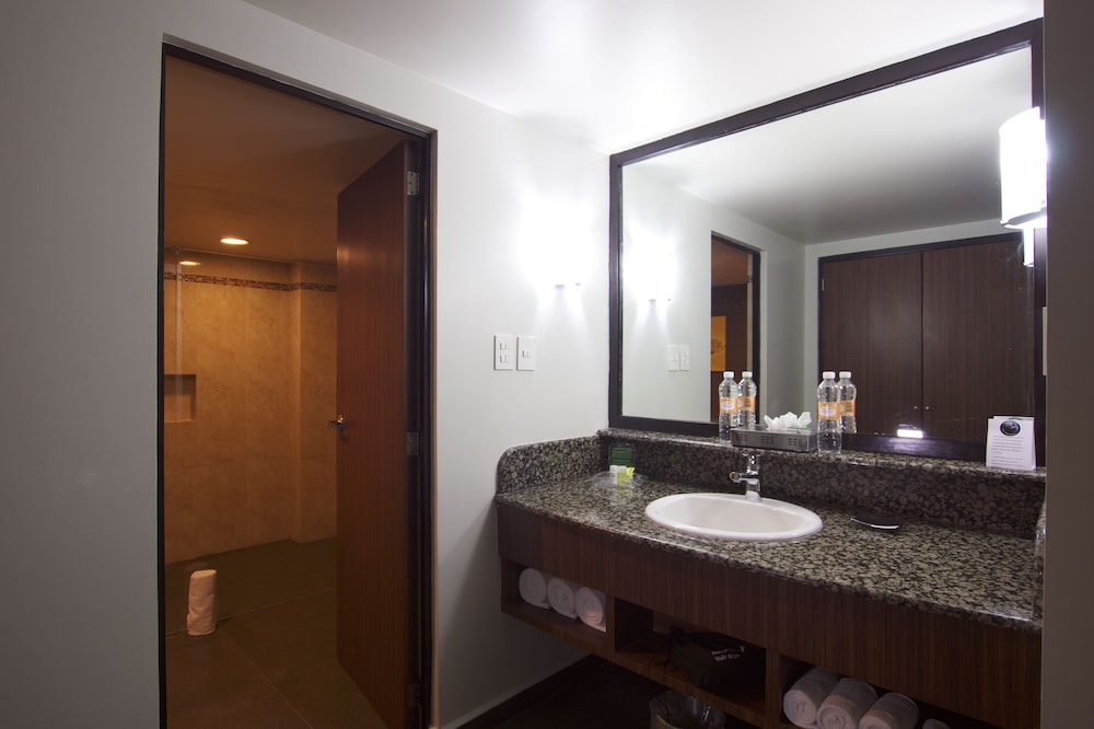 Holiday Inn Ciudad de Mexico Trade Center 25/80