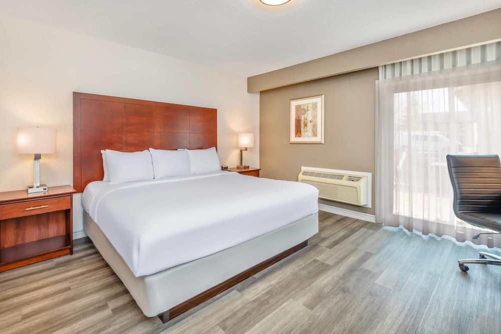 Walkout, King Bed