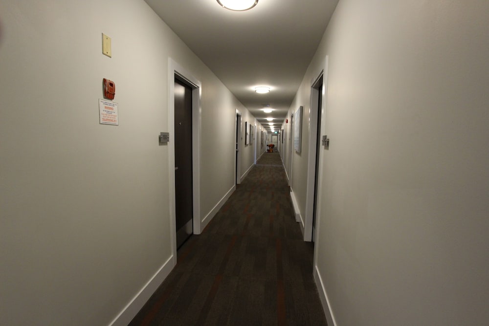 Stardust Motel 35/66
