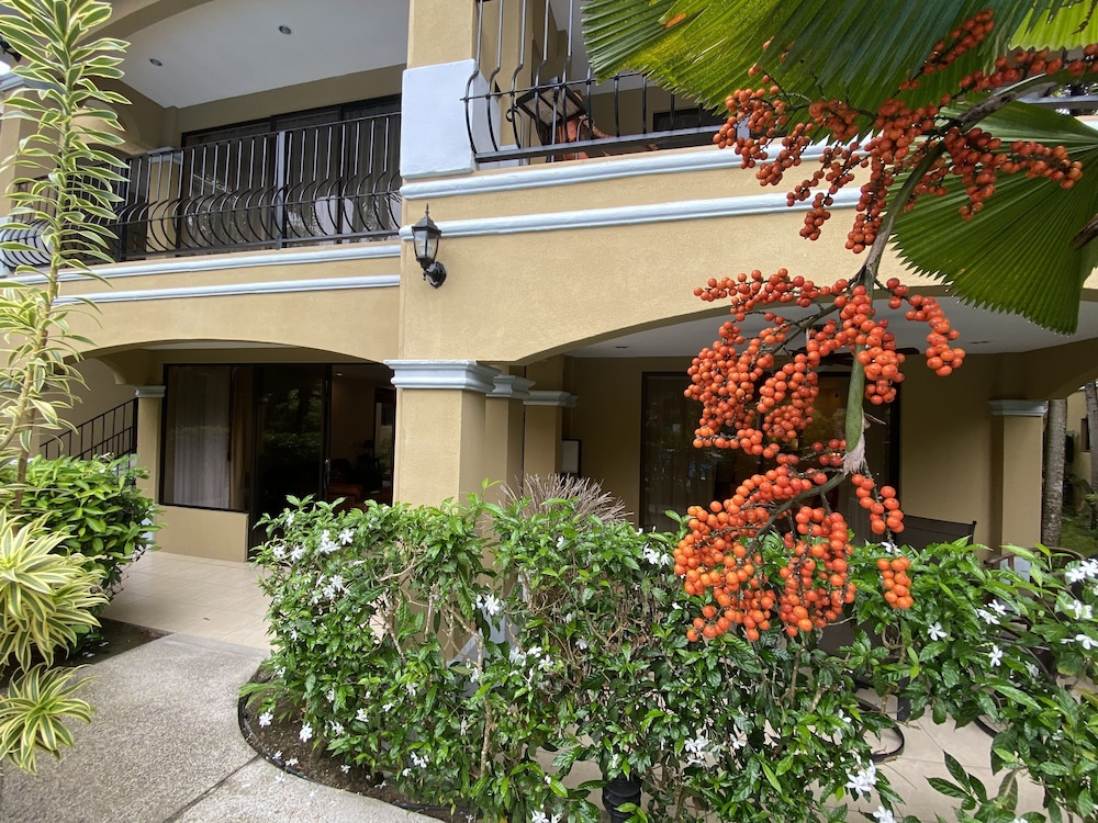 Monte Carlo Luxury Condominiums 4/50