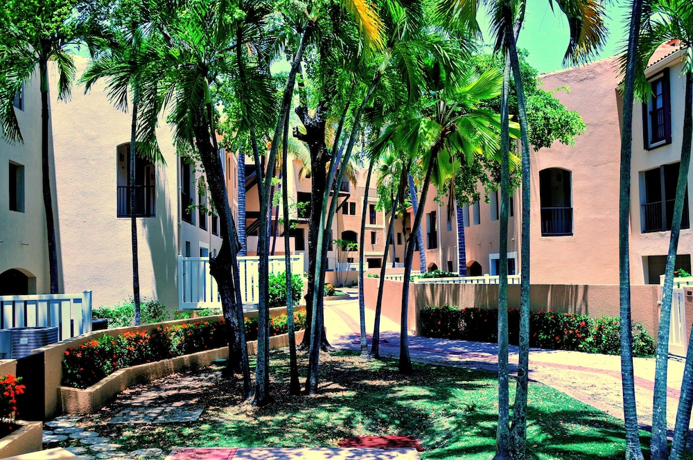 Park Royal Club Cala managed by Accor 31/50