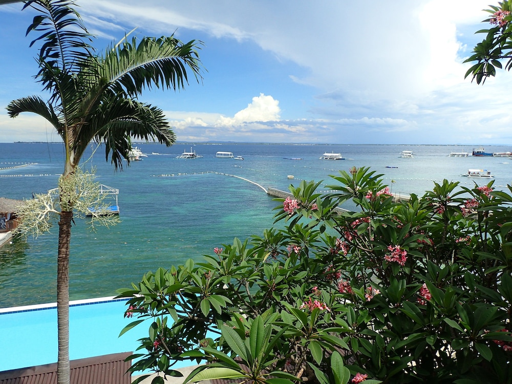 Aozora Seaside Mactan 48/68