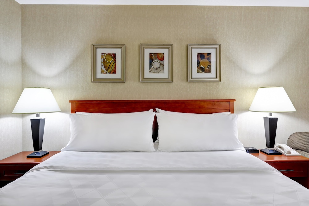 Holiday Inn Burlington Hotel And Conference Centre 16/76