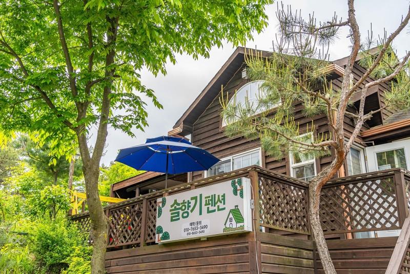 Pocheon Solhyanggi Pension 12/12