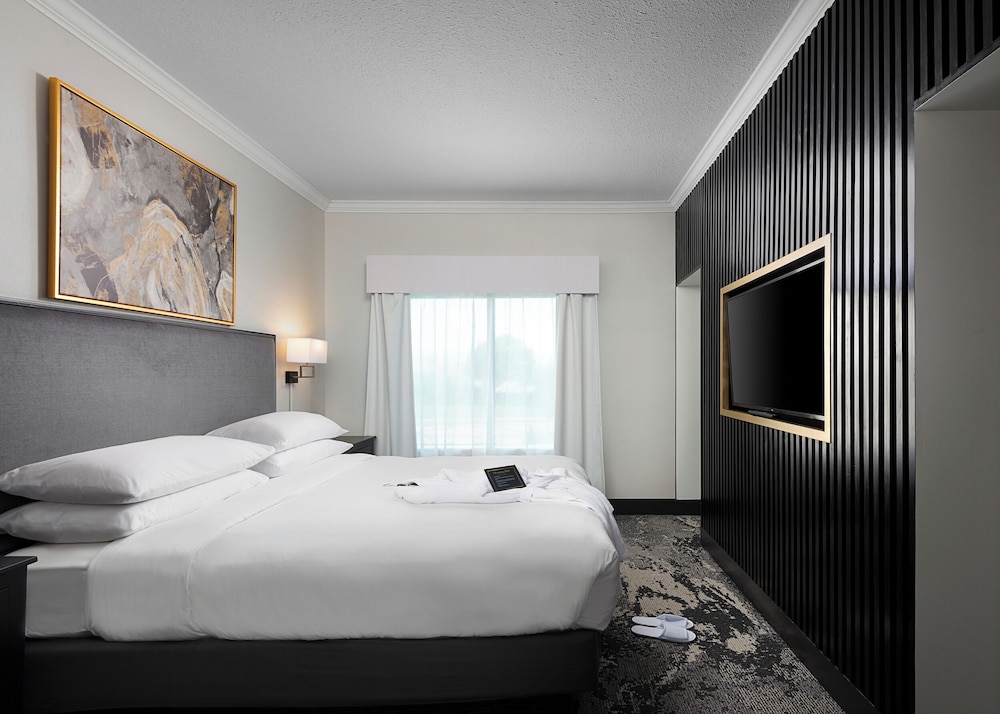 SUITE, KING BED