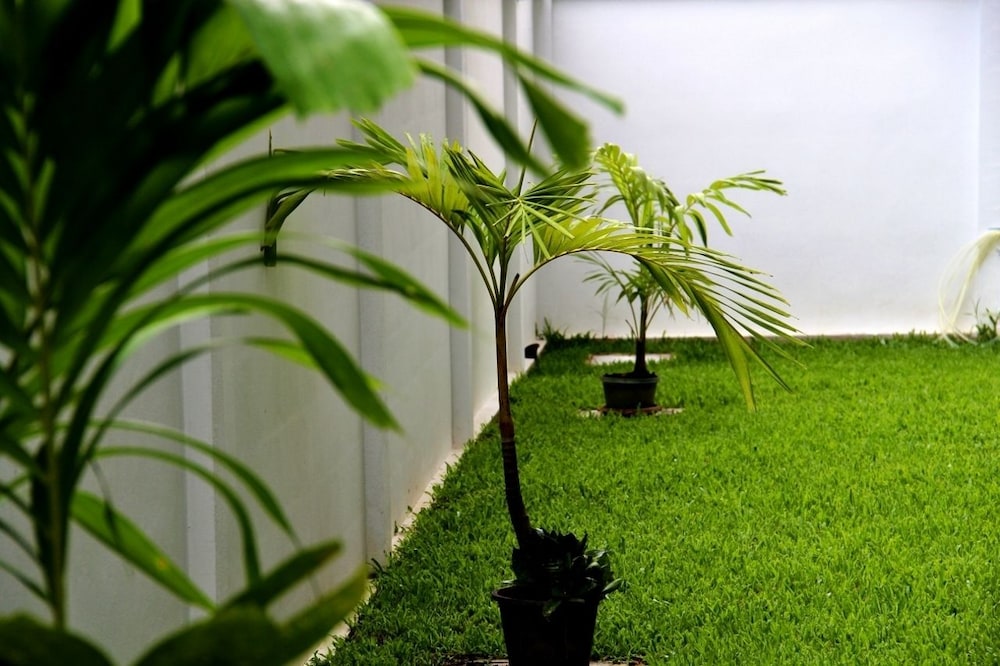 The Meet Green Apartment 59/66