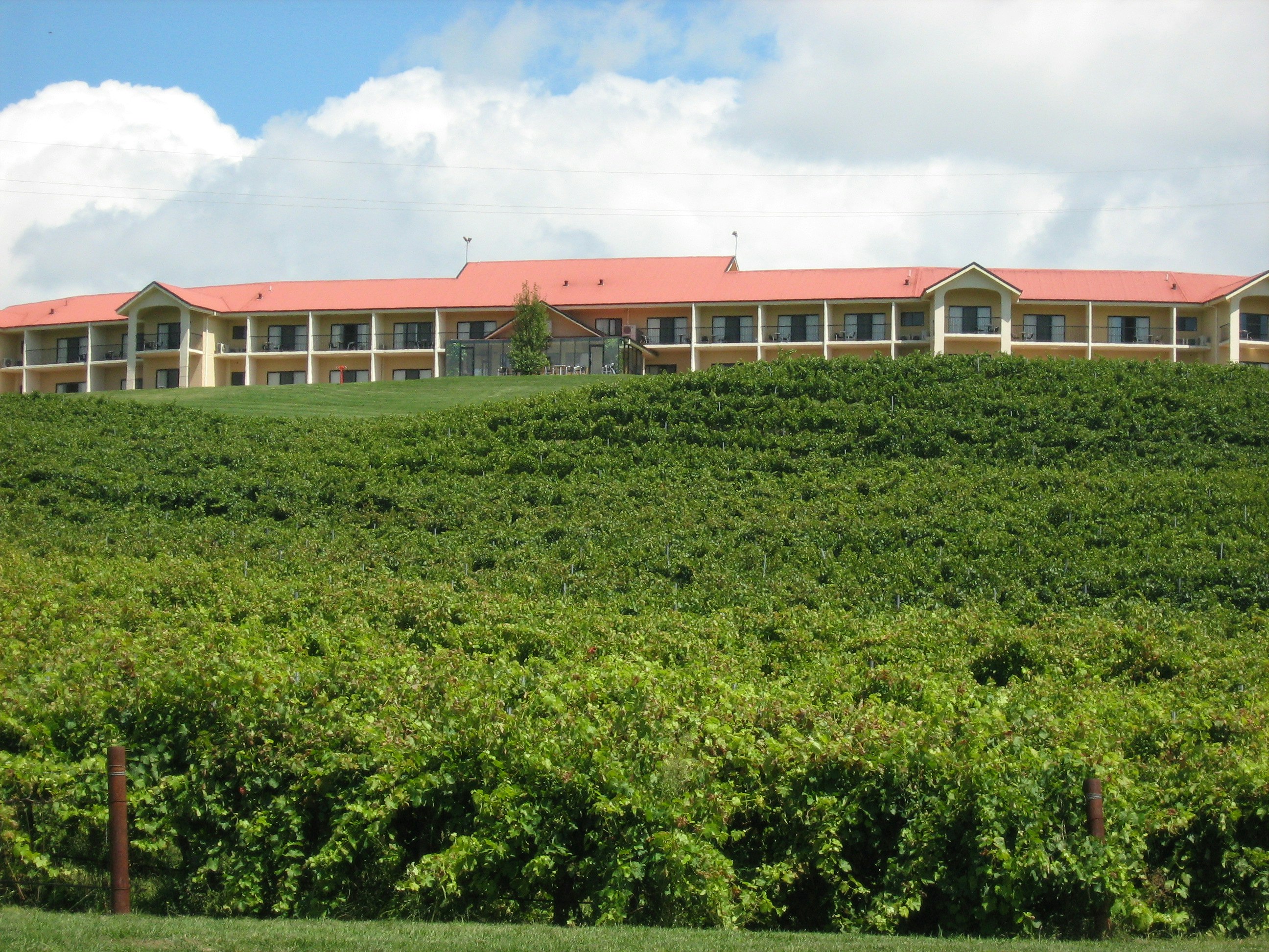 Turners Vineyard Motel Function And Convention Centre 31/32