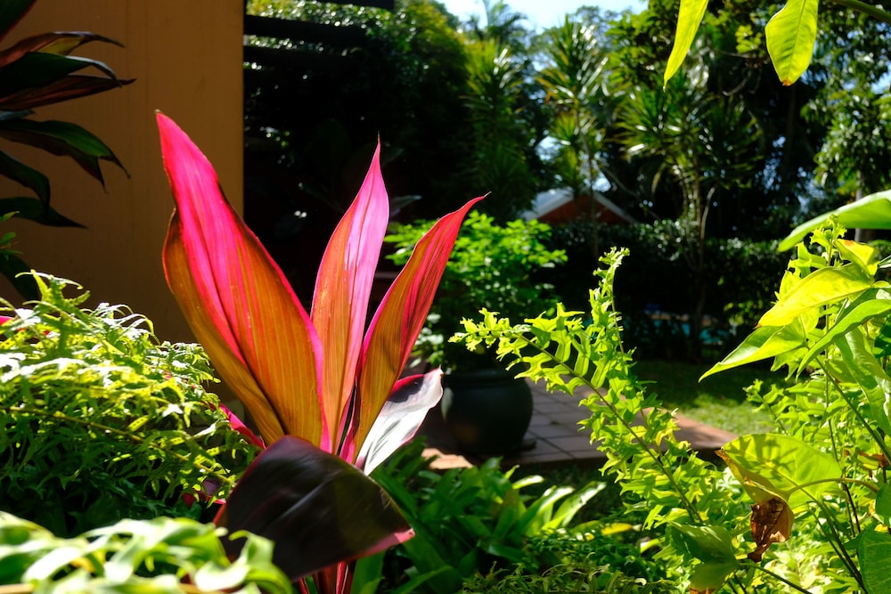 Santa Lucia Guest House 50/52
