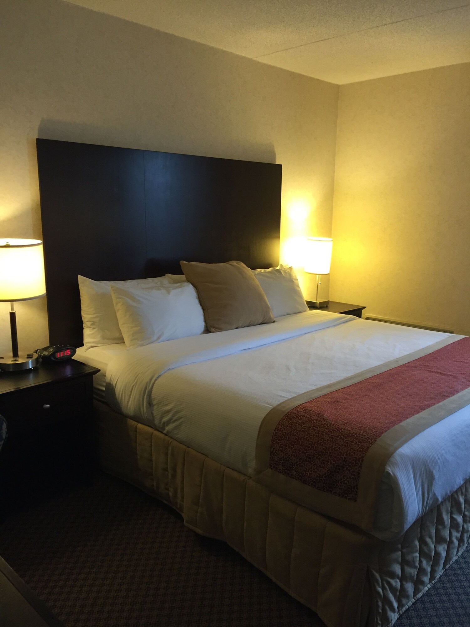 غرفة قياسية بسرير كوين، Best Western Milton 3/6