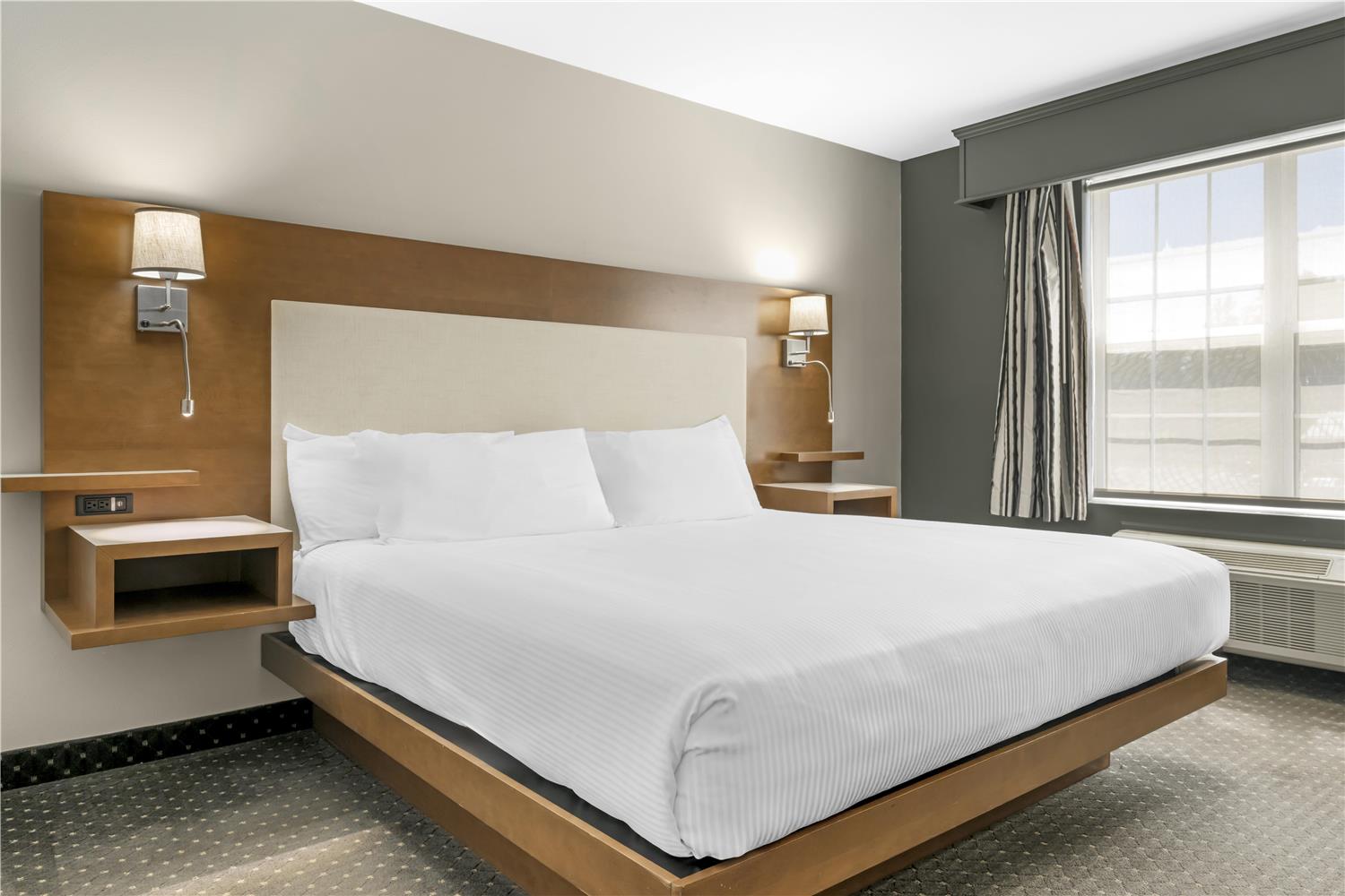 Suite, King Bed, Sofa