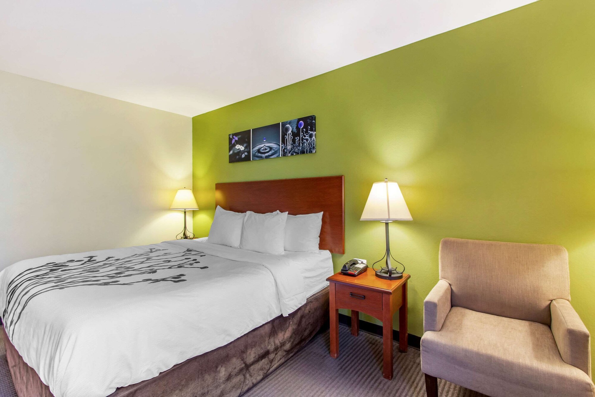 ROOM, KING BED, ACCESSIBLE