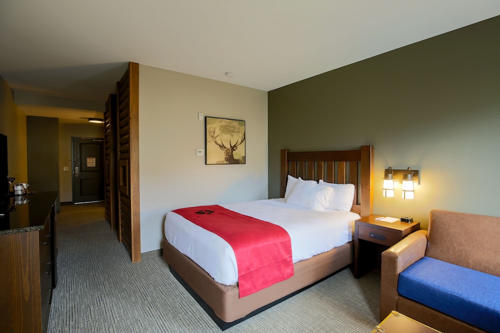 Great Wolf Lodge Illinois 15/46