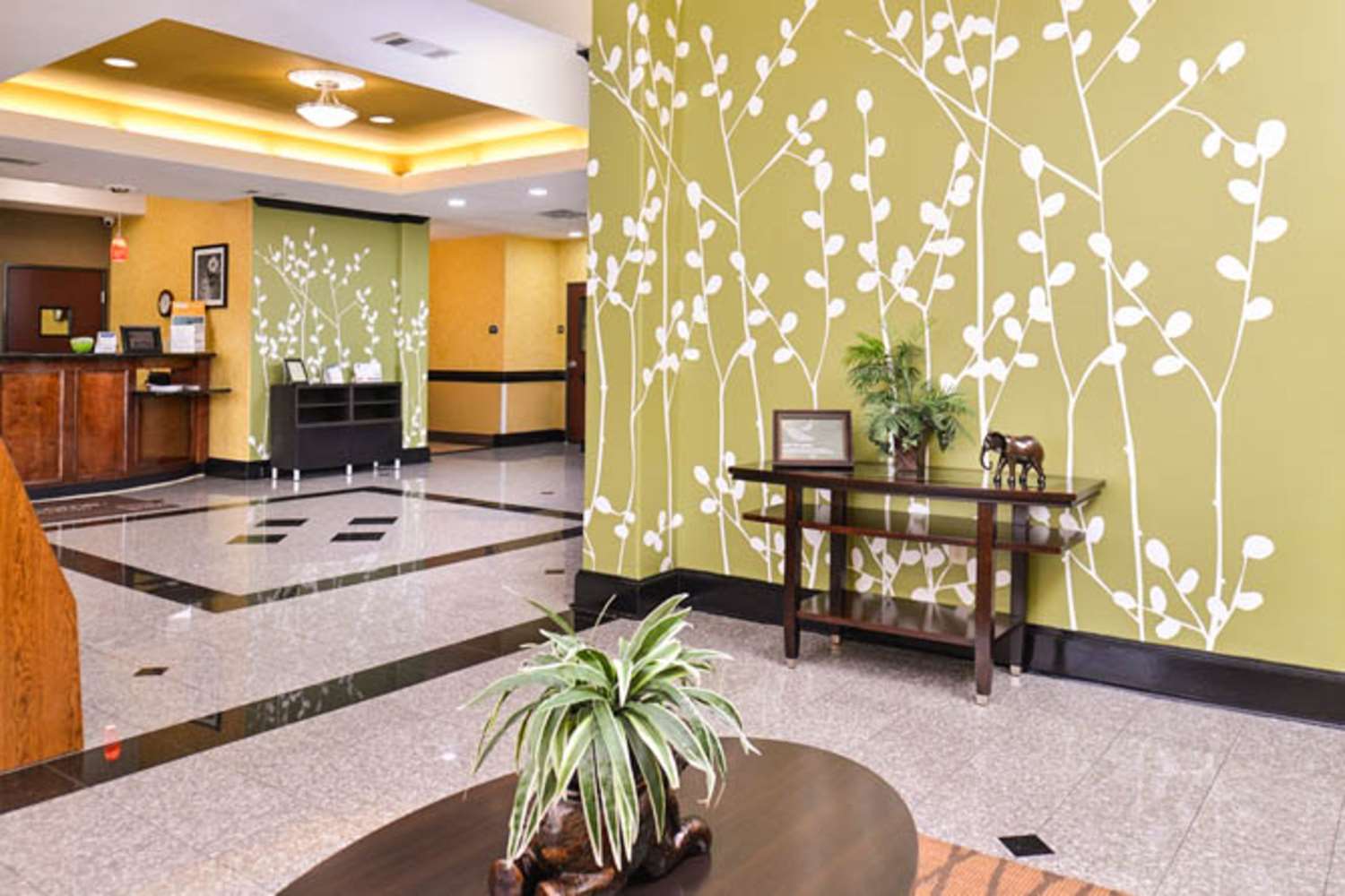 北市中心附近斯利普套房酒店(Sleep Inn & Suites Near Downtown North) 图片3