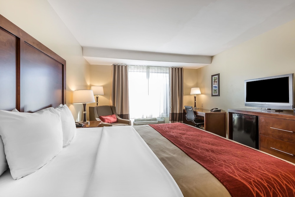 Comfort Inn Pomona near Fairplex 14/46
