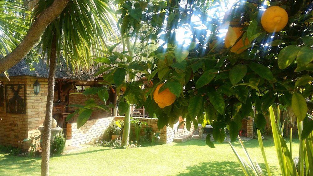 Citrus Lane Guesthouse 35/50