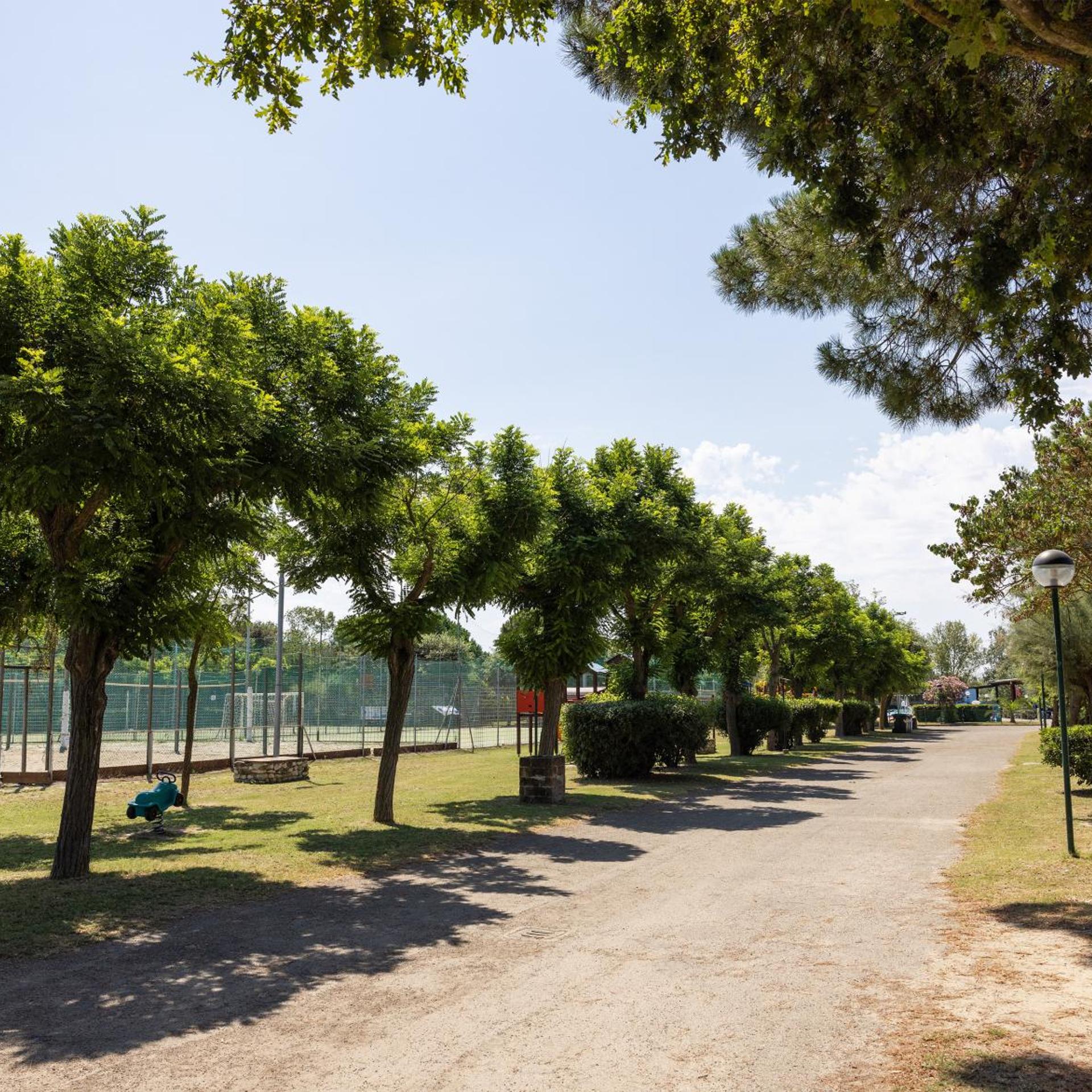 Mare Pineta 29/50