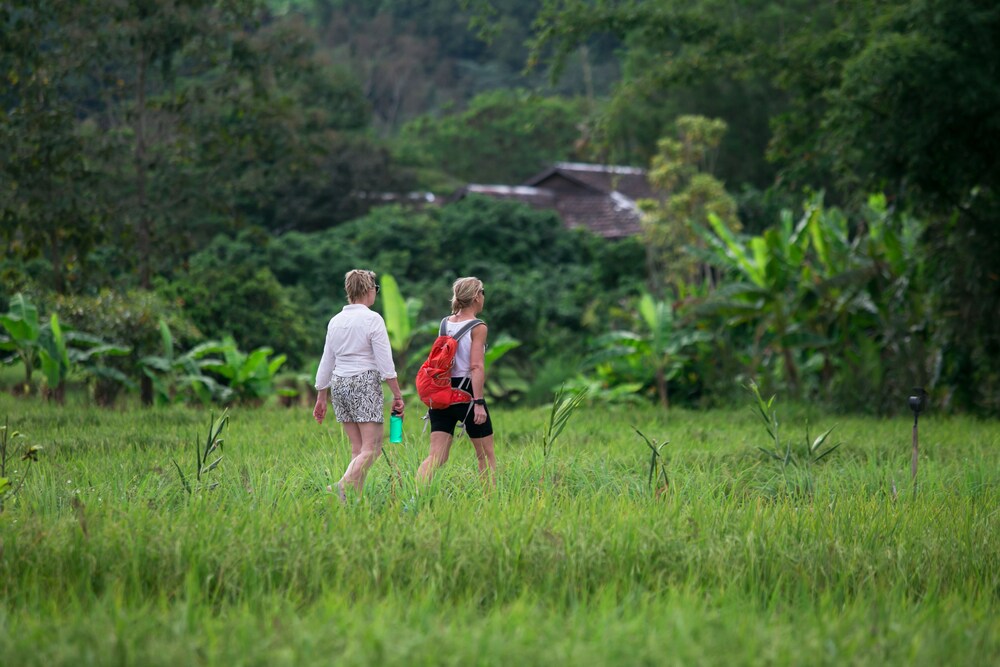 Lisu Lodge 31/37