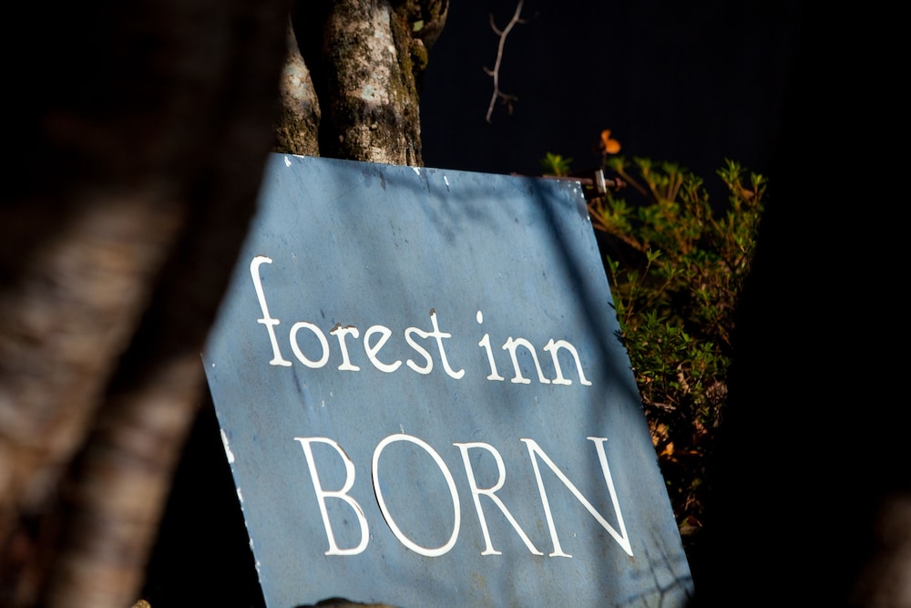 Forest Inn Born 8/19
