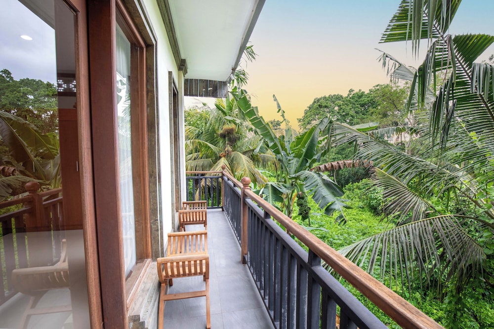 Amoya Inn 1/50