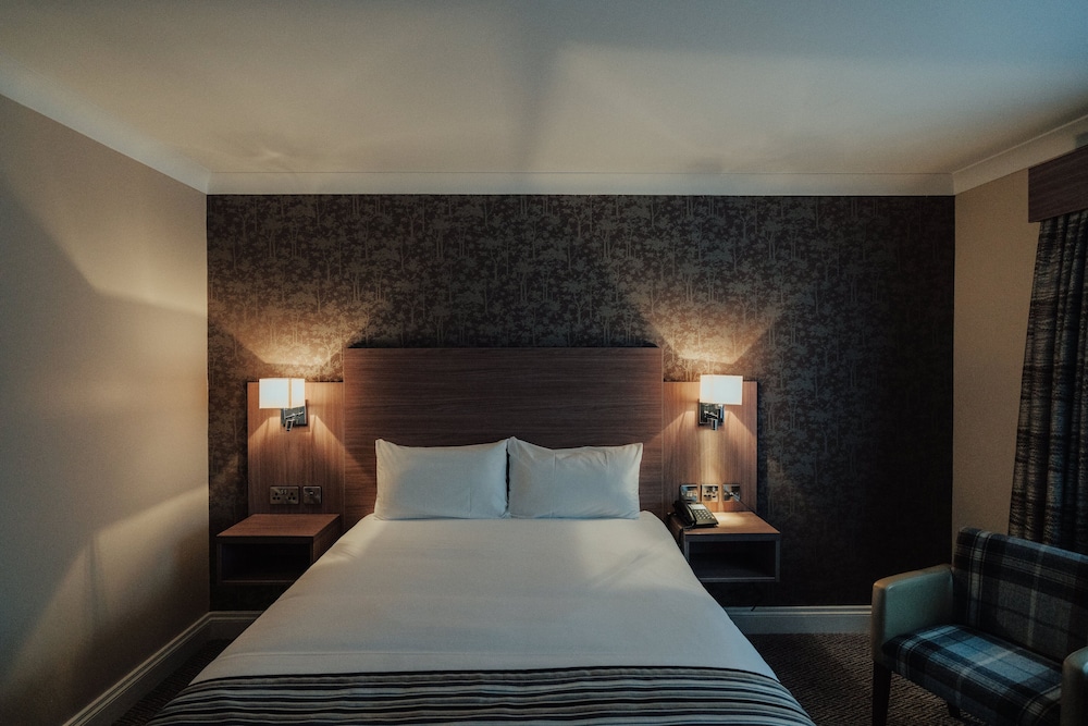 Plus, Deluxe, King Bed