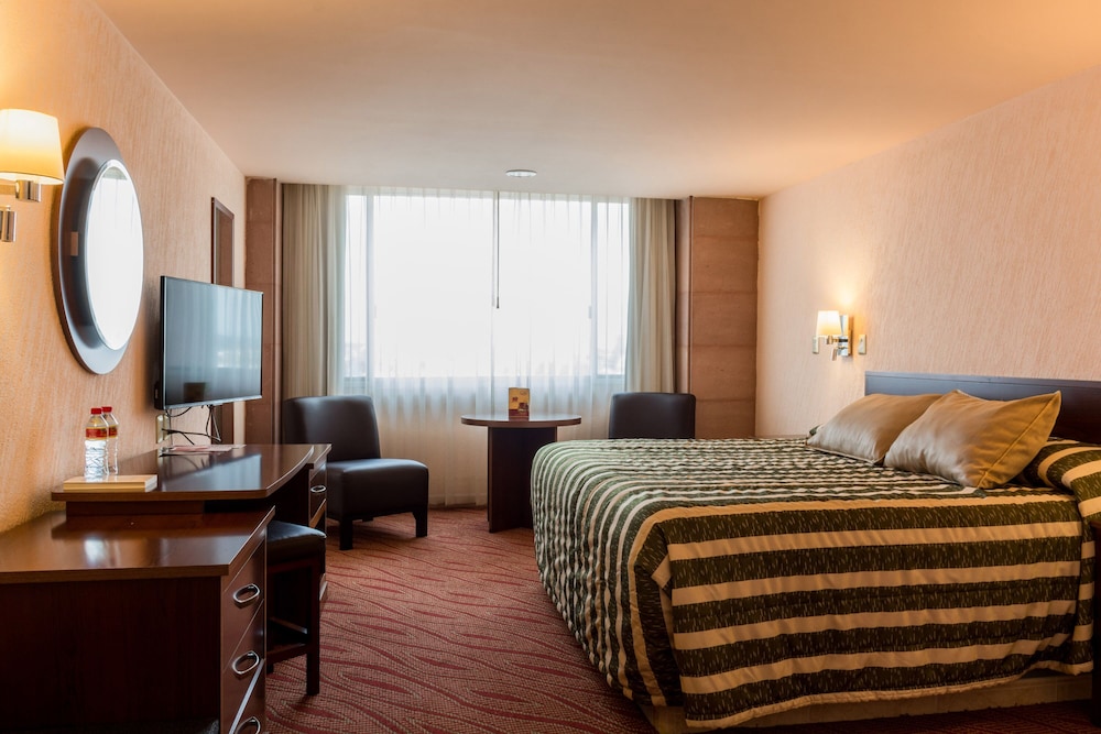Hotel Real Plaza Aguascalientes 30/71