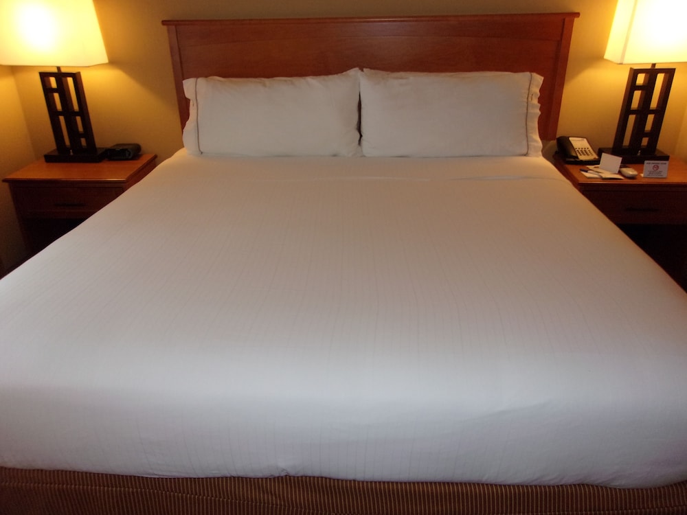 Holiday Inn Express Suites Chicago West Roselle 17/50