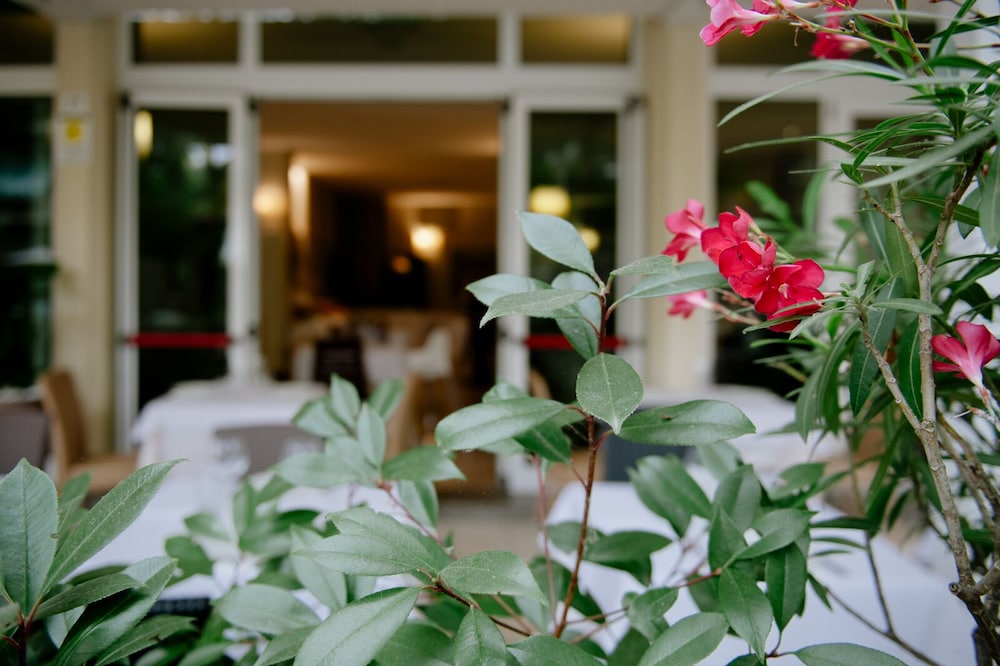 Hotel Lalla Beauty And Relax 6/63