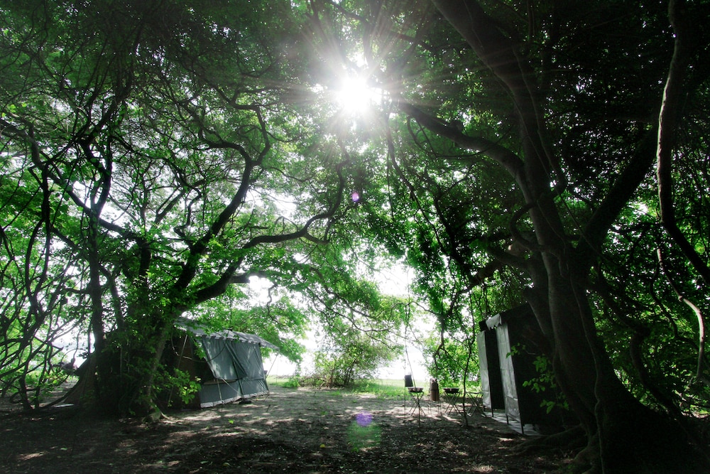 The Yala Camping 23/32