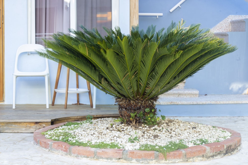 Casa Valeria Boutique Hotel 44/50