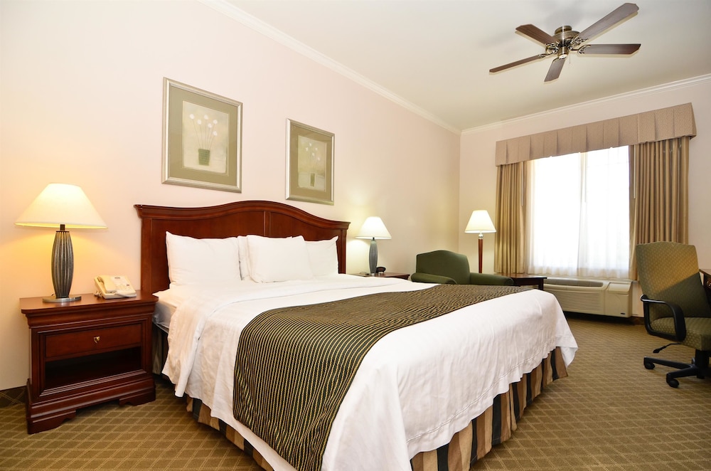 Best Western Plus Country Park Hotel 19/48