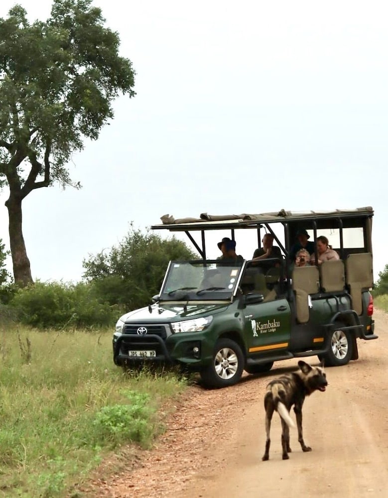 Kambaku River Lodge 43/50