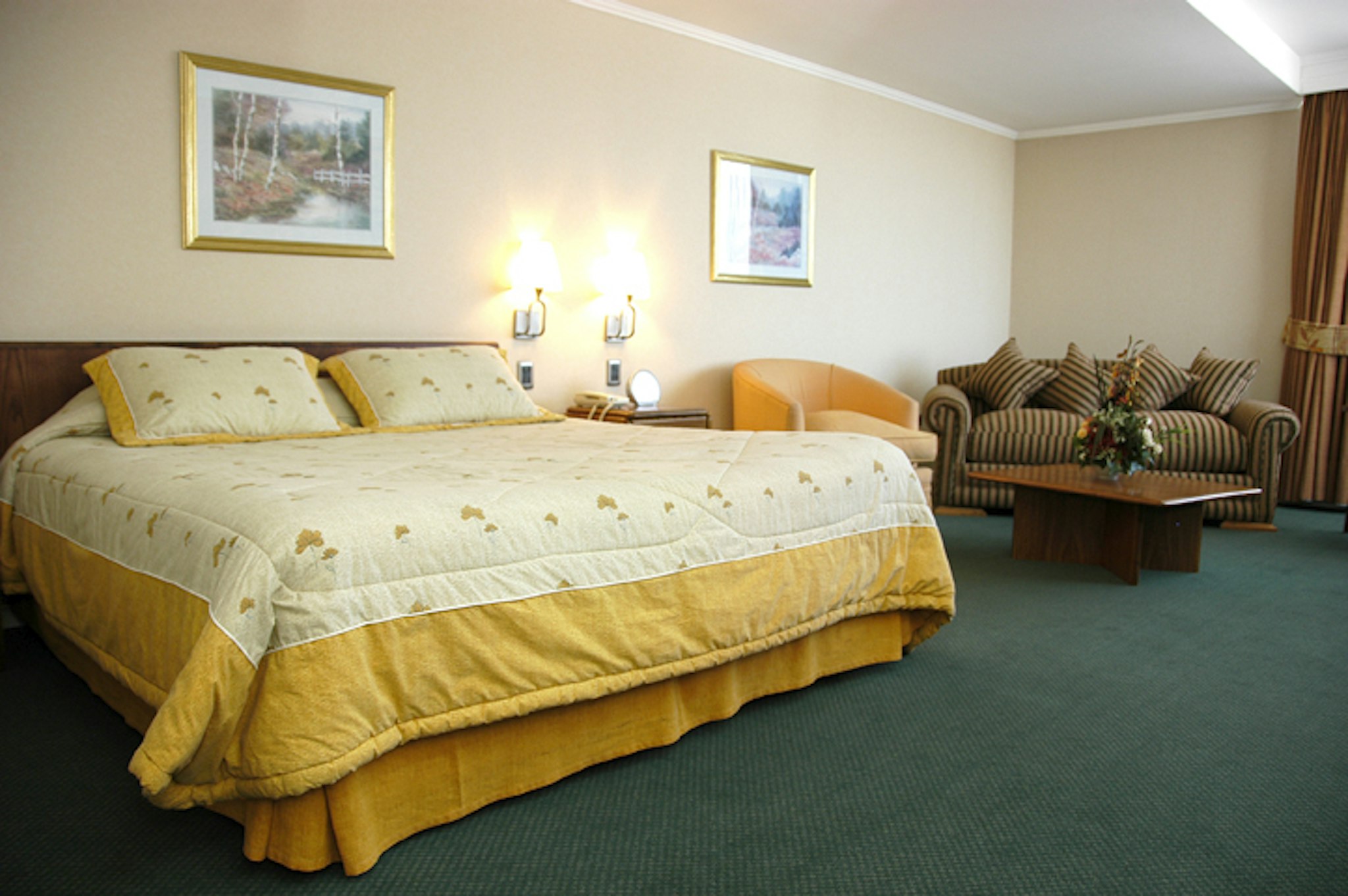 HOTEL DIEGO DE ALMAGRO CONCEPCIÓN 6/38