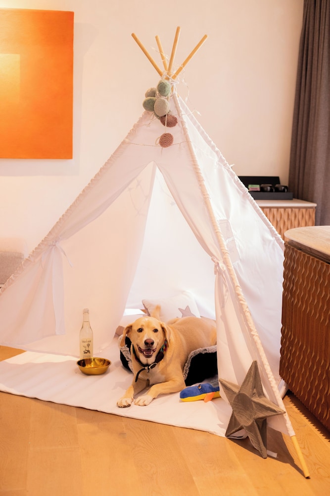 Numu Boutique Hotel 30/58