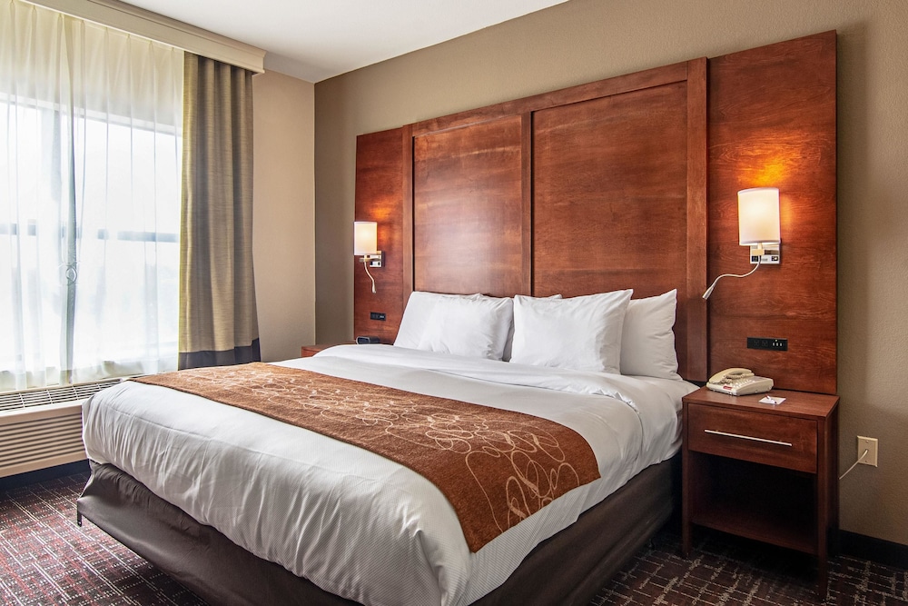 Comfort Suites NW Dallas Near Love Field 13/49