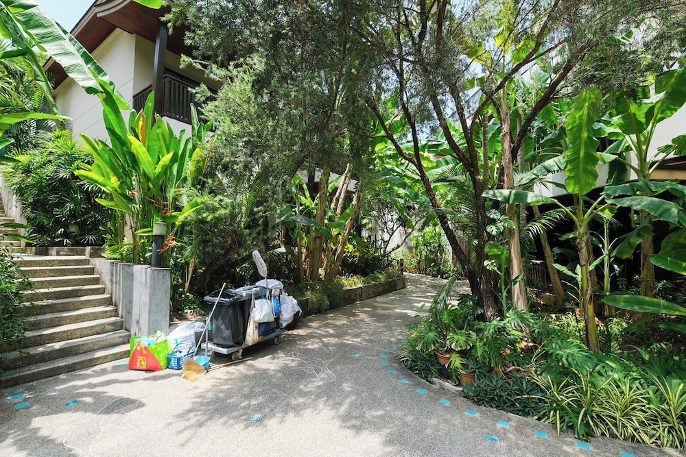 HULA HULA RESORT l truly tropical and fun wellness 79/90