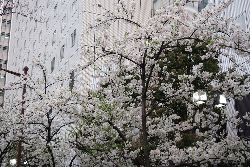 New Otani Inn Tokyo 47/49