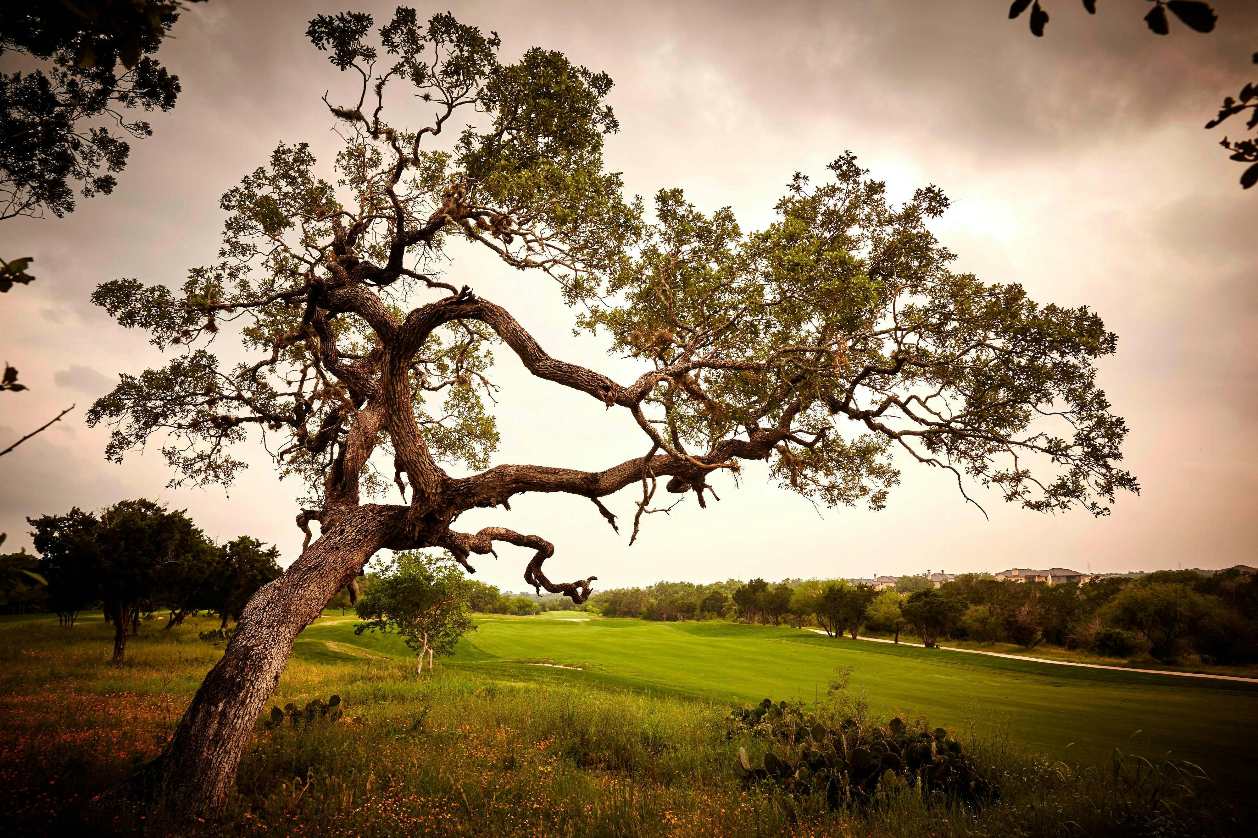 JW Marriott San Antonio Hill Country Resort & Spa 80/82