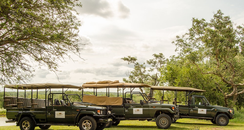 Elandela Private Game Reserve And Luxury Lodge 42/50