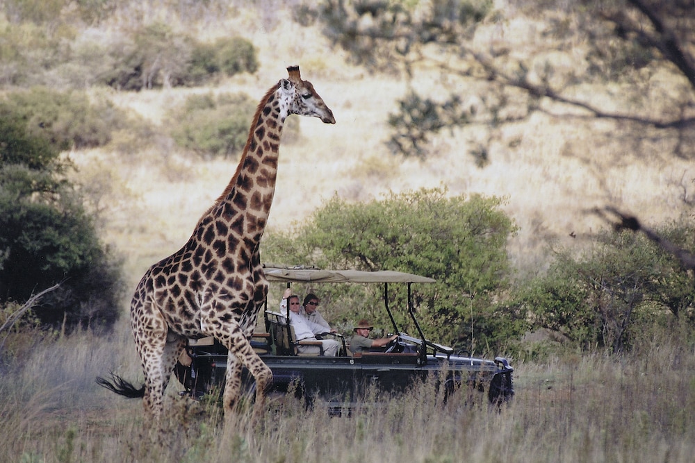 Makweti Safari Lodge 27/37