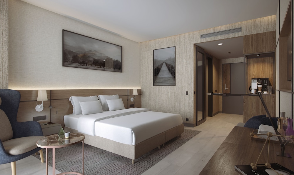 Radisson Blu Hotel Mount Erciyes 20/68