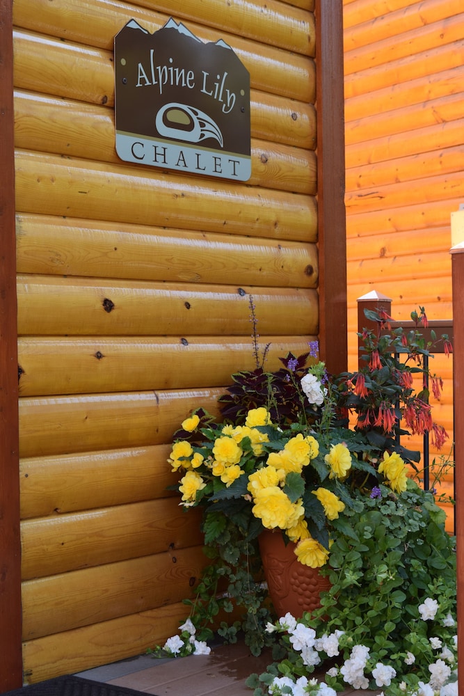 Alaska Adventure Unlimited Chalets 6/42