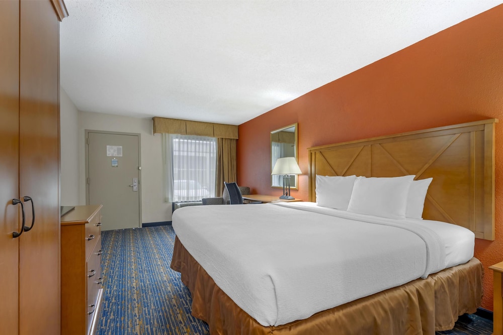 Standard, King Bed, Accessible